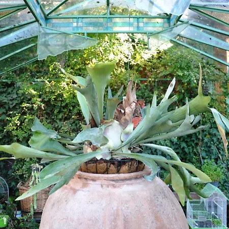 Casa Mazzola 4* Sant'Agnello