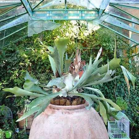 Casa Mazzola Bed & Breakfast