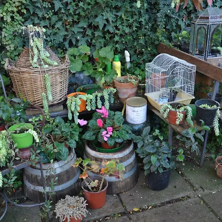 Casa Mazzola Bed & Breakfast Sant'Agnello