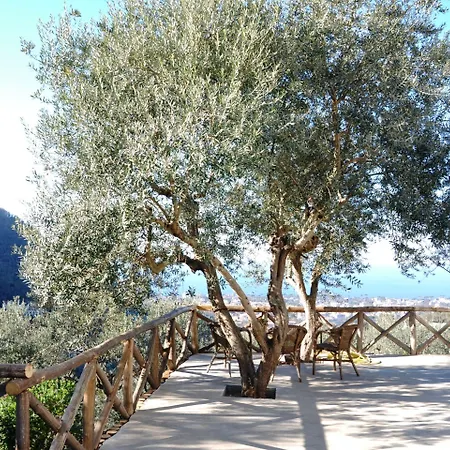 Oda ve Kahvaltı Casa Mazzola 4*