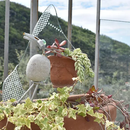 Bed & Breakfast Casa Mazzola 4*