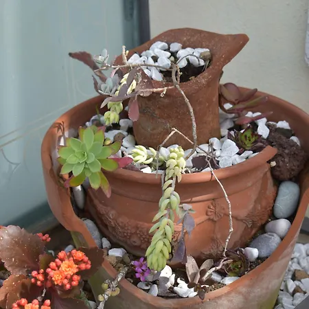 Casa Mazzola Bed & Breakfast Sant'Agnello